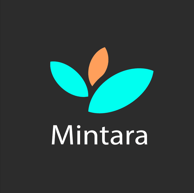 Mintara: Financial Planning and Paycheck Allocator *In Development*
